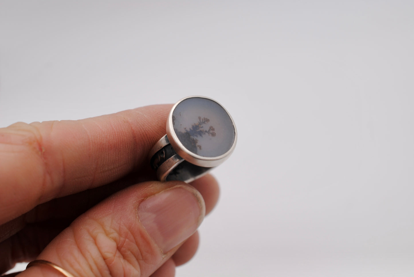 Dendritic Agate with Aspen Tree Band - Size 6