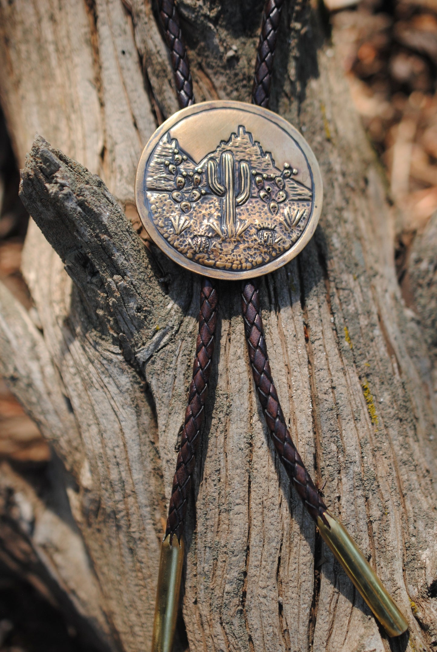 Cactus Scene Bolo Tie