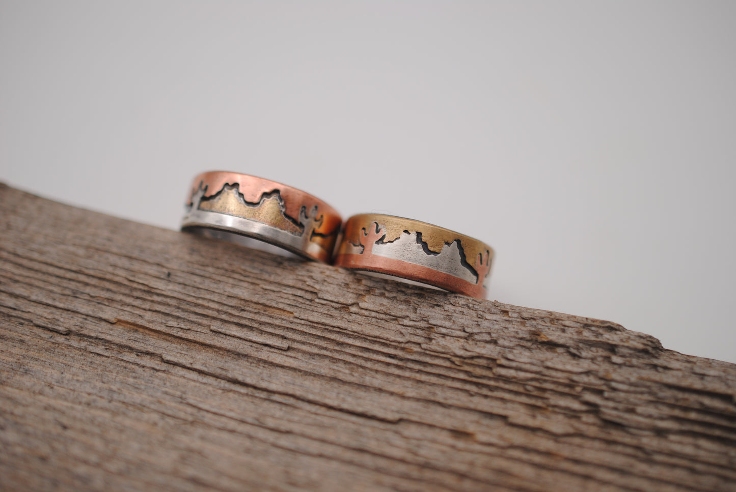 Mixed Metal Cactus Scene Ring Size 9